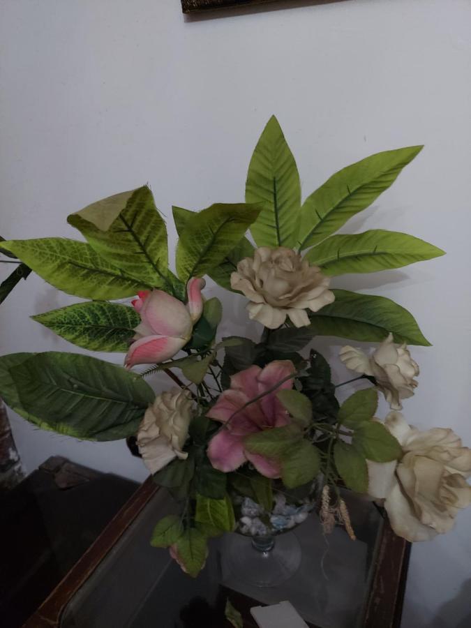 Al Moayad Apartment Near To Genina Mall, Abbas Al Akkad Kairo Bagian luar foto